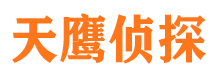 大名侦探公司